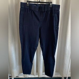 Lane Bryant Dark Blue Jeggings